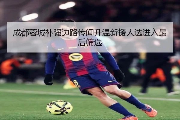 成都蓉城补强边路传闻升温新援人选进入最后筛选