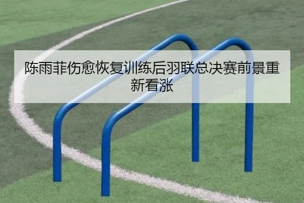 陈雨菲伤愈恢复训练后羽联总决赛前景重新看涨